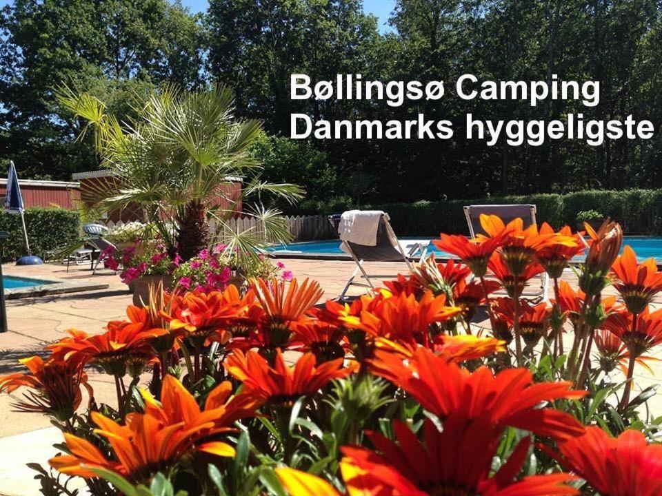 Bollingso Camping Engesvang 外观 照片